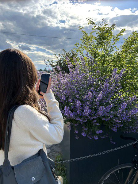 Beautiful Nature image