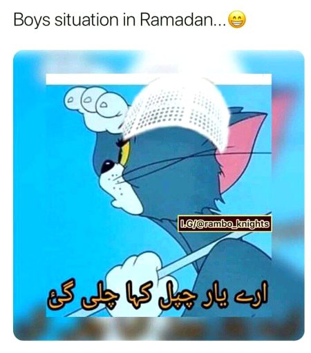 Memes & Satire image