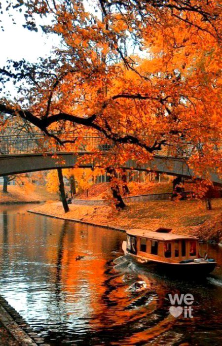 Beautiful Nature image