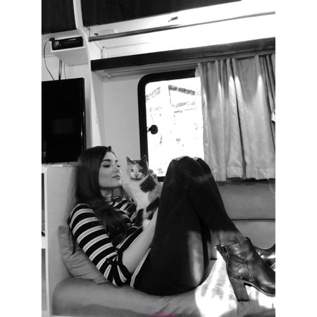 Turkish Celebs image