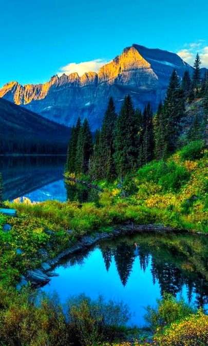 Beautiful Nature image