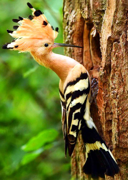 Beautiful Nature image