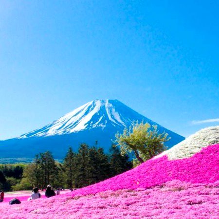 Beautiful Nature image