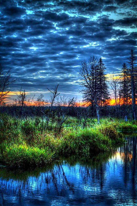 Beautiful Nature image