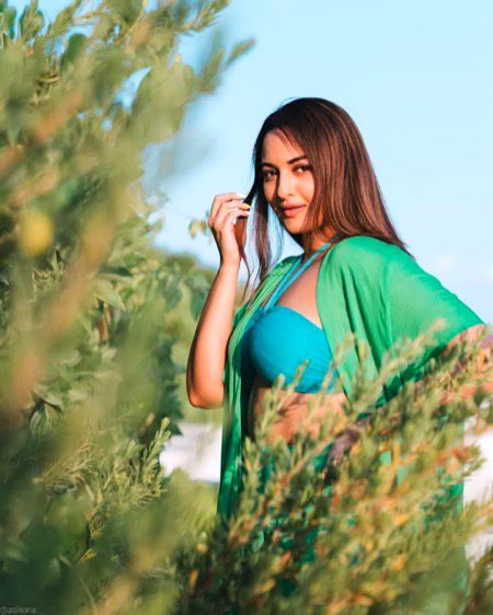 Indian Celebs image