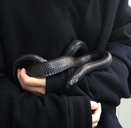 ہم نے ہزار بار دی دل میں جگہ مگر کم ظرف آستین سے اگے نہ بڑھ سکے 🐍💯