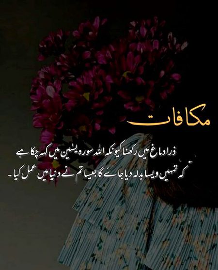 Islamic Quotes image