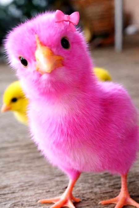 Beautiful Nature image