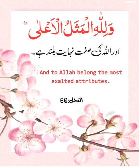 Islamic Quotes image