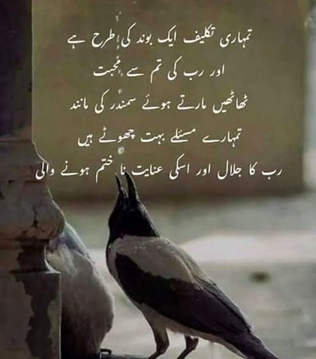 Motivational Quotes image