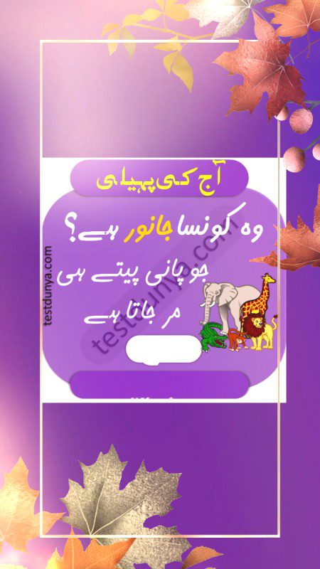 Riddles & Puzzles image