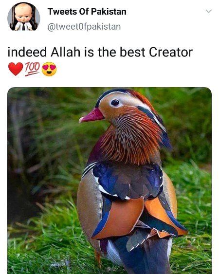 Beautiful Nature image