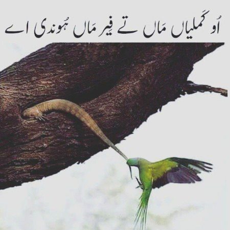 Maa tu phir maa hoti hai.