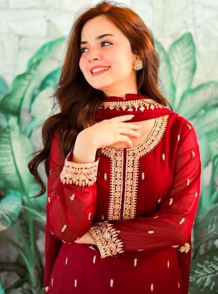 Pakistani Celebs image