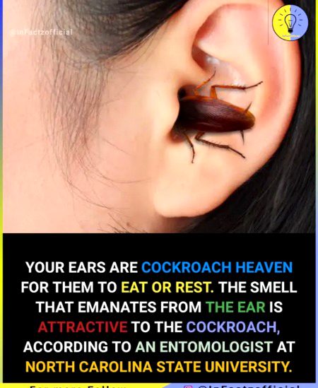 Interesting Posts image