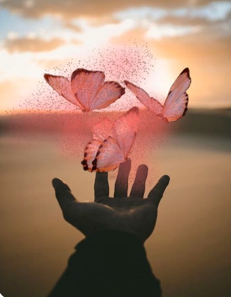 Beautiful Nature image