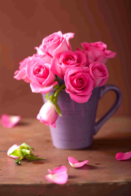 Beautiful Nature image