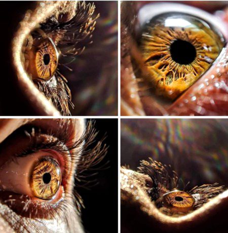 Incredible beauty of human eye 👁😍❤