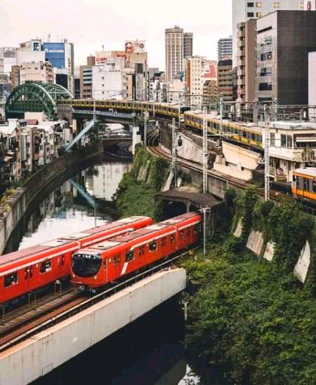 Beautiful Structures image