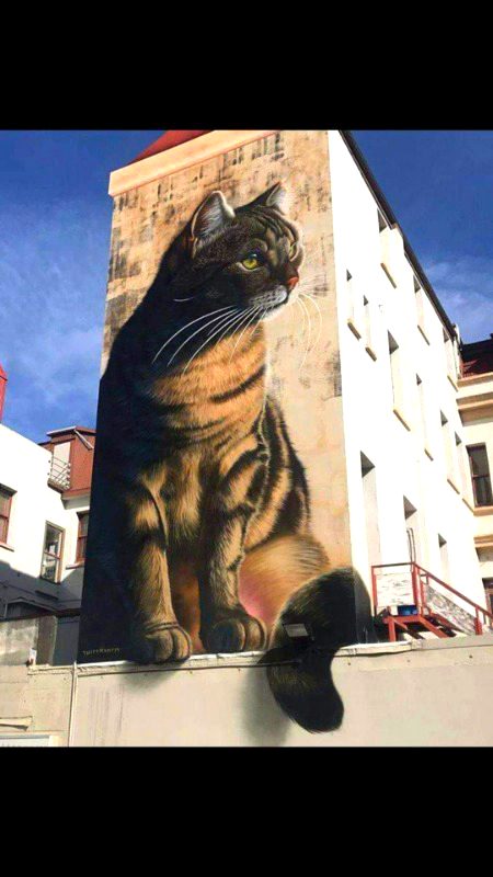 Street Art image