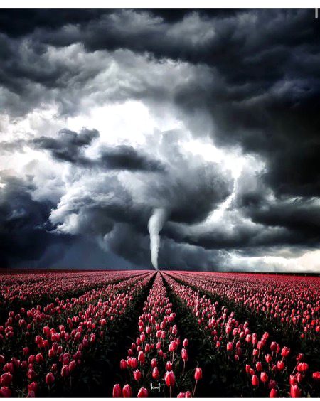 Beautiful Nature image