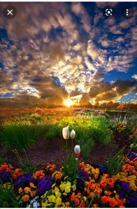 Beautiful Nature image