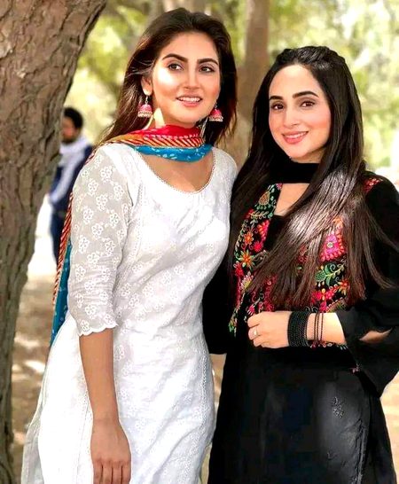 Pakistani Celebs image