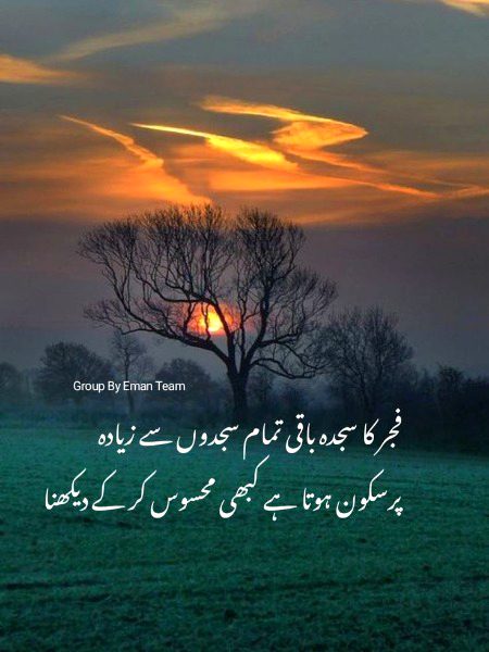 Islamic Quotes image