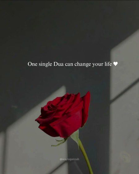 Life Advice image
