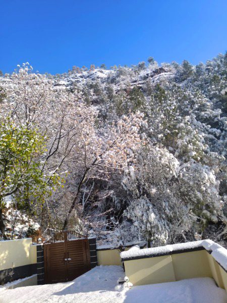 Beautiful Nature image