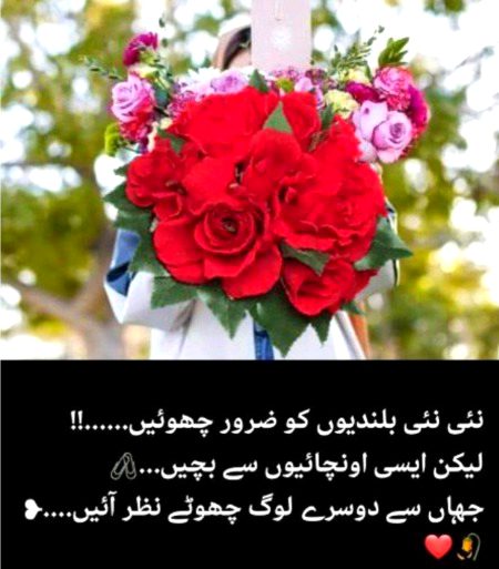 Absolutely right