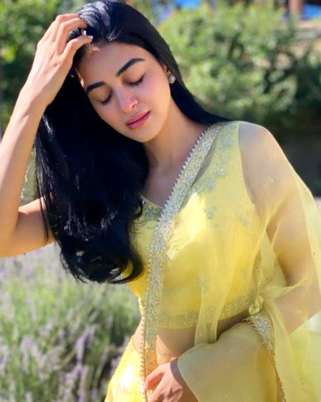 Pakistani Celebs image