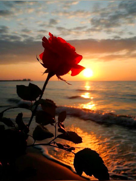 beautiful nature