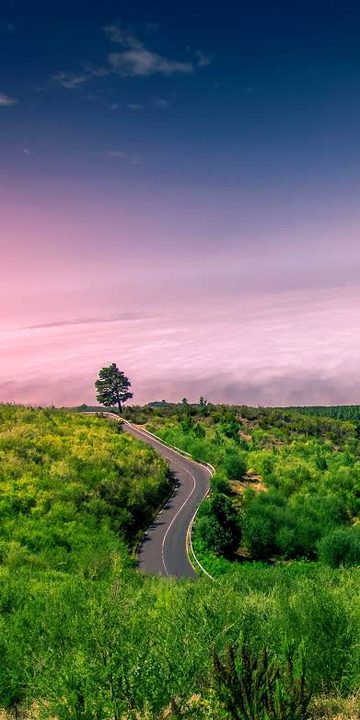 Beautiful Nature image