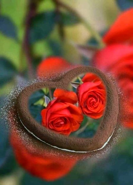 Beautiful Nature image