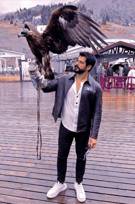 Turkish Celebs image