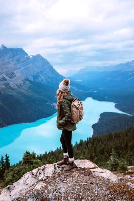 Beautiful Nature image