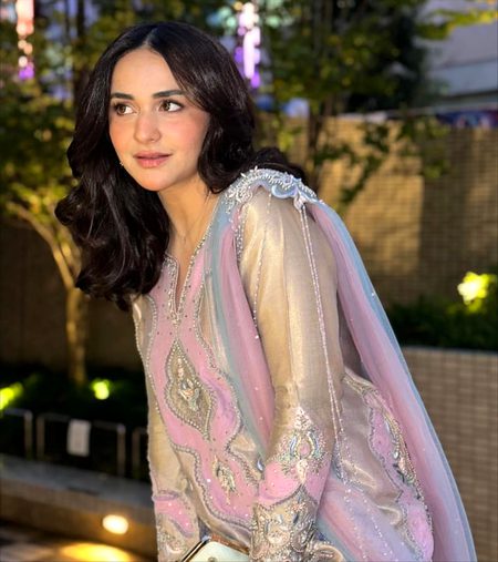 Pakistani Celebs image