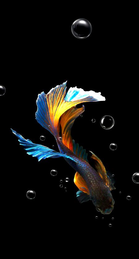 Beautiful Nature image