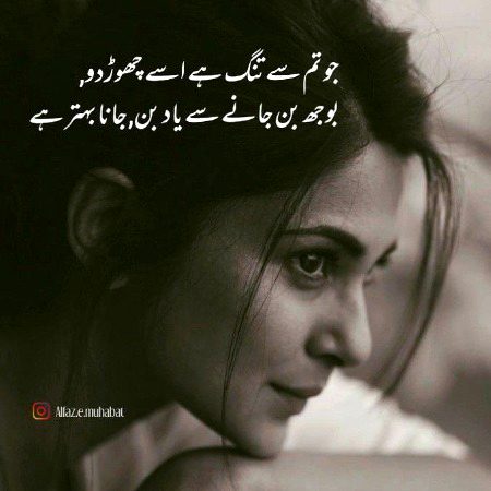 Sad Poetry image
