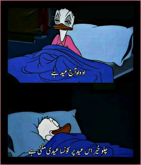 Memes & Satire image