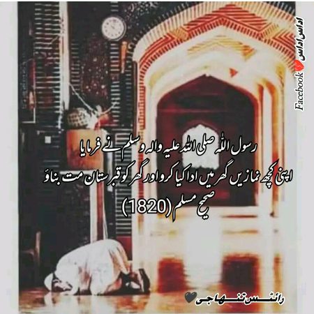 Islamic Quotes image