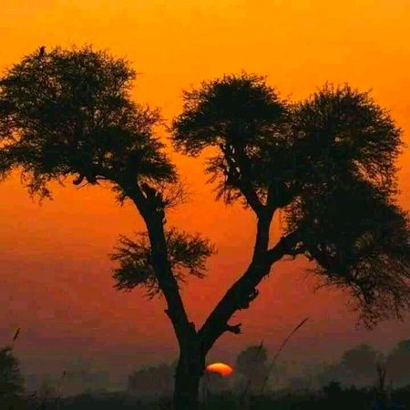 کن لفظوں"" میں لکھوں"" میں تیرے"" انتظار ""کو 
بے زبان عشق میرا 
ڈھونڈ تا ہے خاموشی سے تجھے