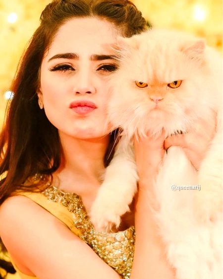 Beautiful People image