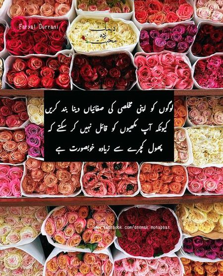 Life Advice image