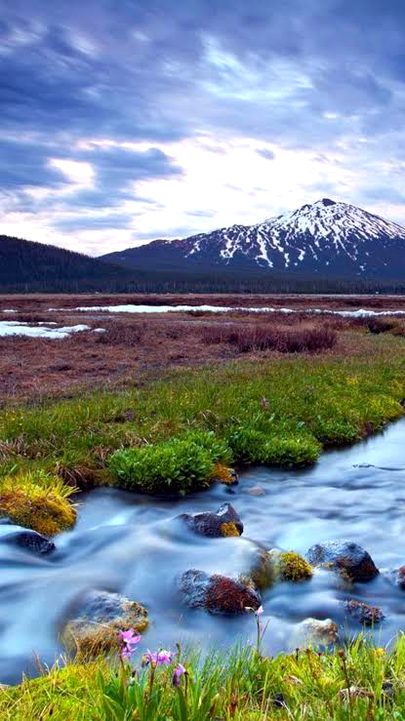 Beautiful Nature image