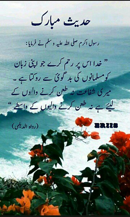 Islamic Quotes image