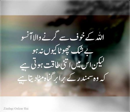 Islamic Quotes image