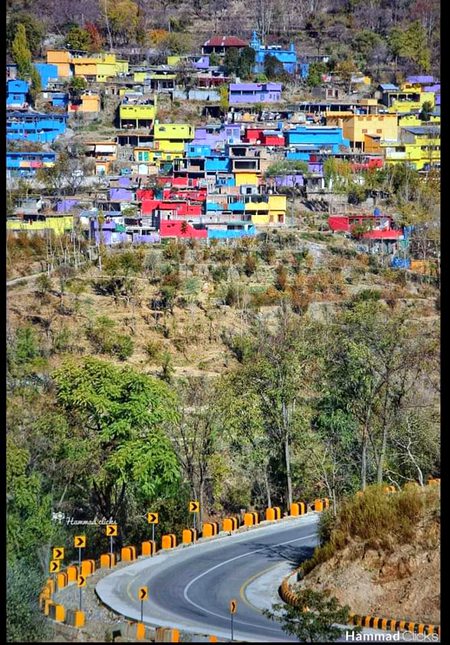 Beautiful Nature image