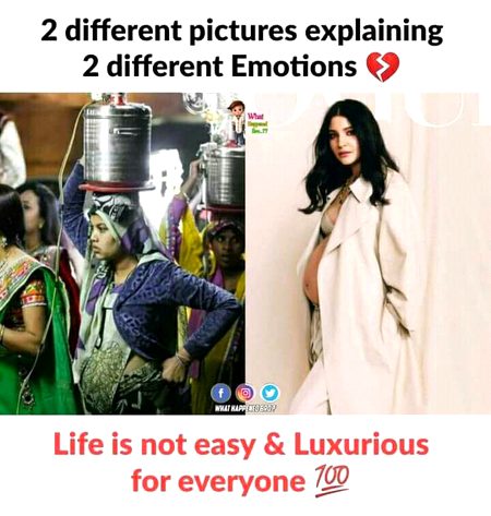 true 💯